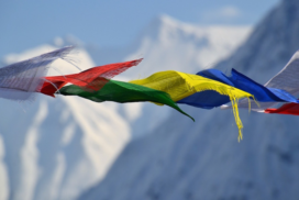 Alpinisten uit Nepal eisen leeftijdsgrens voor beklimming Mount Everest