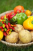 Zoutarm hoofdgerecht: Gestoomde gemengde groenten. Snijd de wortelen, rettich, courgette en paprika in luciferreepjes.
