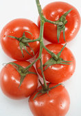 Zoutarm voorgerecht: Gevulde tomaten. Snijd van de tomaten een kapje af en schep ze voorzichtig leeg. Snijd de champignons en de ui fijn.
